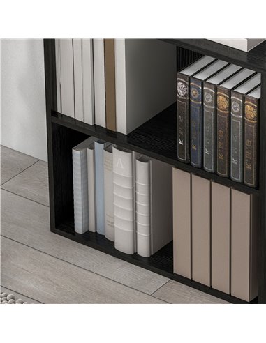 HOMCOM 2 Tier Bookshelf, Low Bookcase with Adjustable Shelf, 2 Compartments for Home Office, Living Room, Study, Black 836-565V8