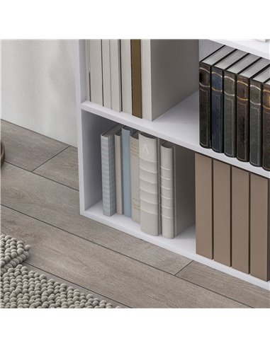 HOMCOM 2 Tier Bookshelf, Low Bookcase with Adjustable Shelf, 2 Compartments for Home Office, Living Room, Study, White 836-565V8