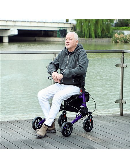 HOMCOM Folding Rollator Walker with Seat, Backrest, Lightweight Walking Frame with Storage Bag, Dual Brakes, Adjustable Handle H - pic 110185 | FastDaddyshop