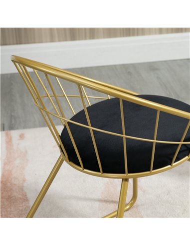 HOMCOM Modern Dining Chairs Set of 2, Metal Wire Kitchen Chair with Velvet-feel Cushion, Round Back and Steel Frame for Living R