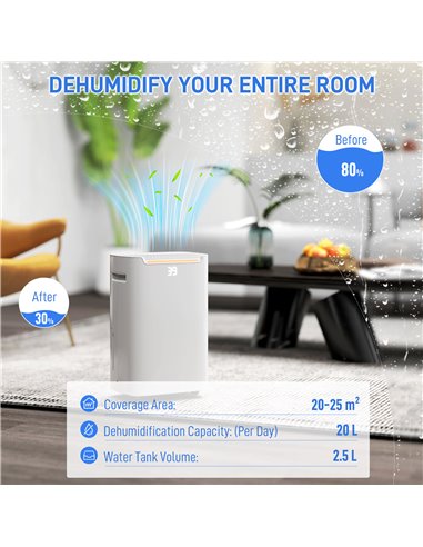 HOMCOM 20L/Day Dehumidifier with Continuous Drainage, 2.5L Water Tank, 24H Timer On/off, Digital Humidity Display, Air Filter, D
