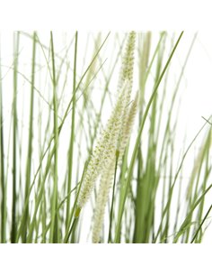 Hill Interiors Large Onion Grass Plant In Pot 23706 2
