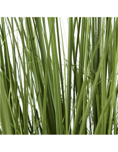 Hill Interiors Large Onion Grass Plant In Pot 23706
