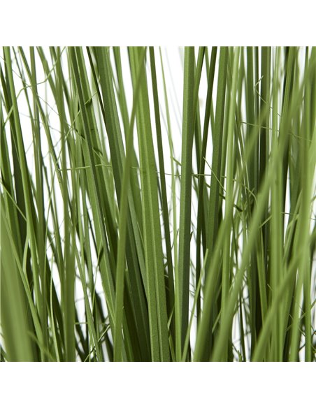 Hill Interiors Large Onion Grass Plant In Pot 23706 - pic 113637 | FastDaddyshop