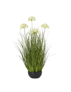 Hill Interiors Large White Allium Plant In Pot 23713