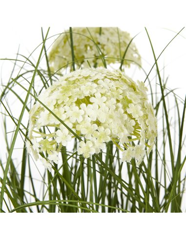 Hill Interiors Large White Allium Plant In Pot 23713