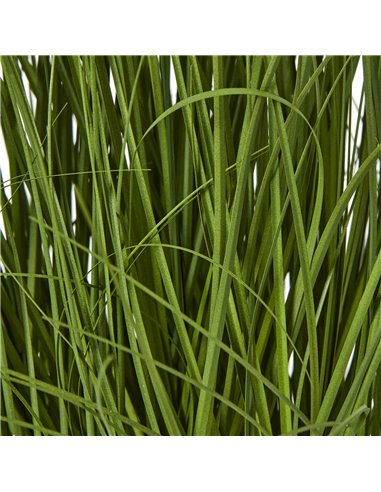 Hill Interiors Large White Allium Plant In Pot 23713