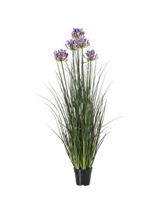 Hill Interiors Large Purple Agapanthus Plant In Pot 23714