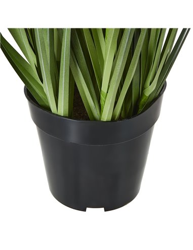 Hill Interiors Large Purple Agapanthus Plant In Pot 23714