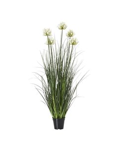 Hill Interiors Large White Agapanthus Plant In Pot 23715