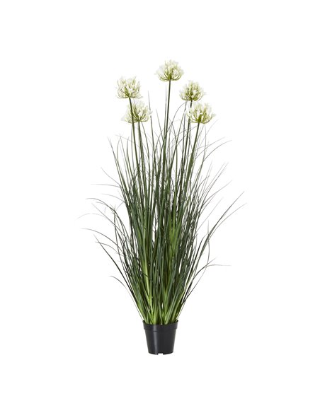 Hill Interiors Large White Agapanthus Plant In Pot 23715 - pic 113646 | FastDaddyshop