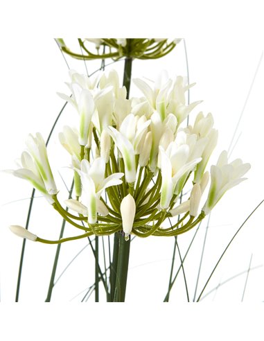Hill Interiors Large White Agapanthus Plant In Pot 23715