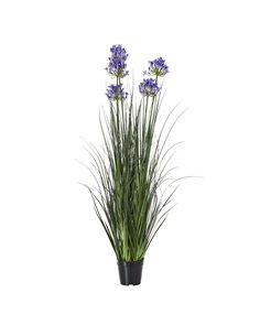 Hill Interiors Large Blue Agapanthus Plant In Pot 23716