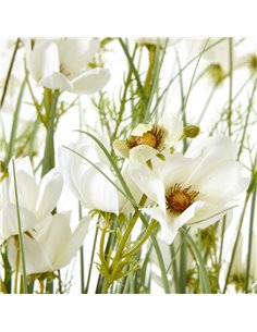 Hill Interiors Large White Meadow Plant In Pot 23720 2