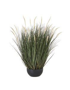 Hill Interiors Large Fountain Grass Plant In Pot 23722