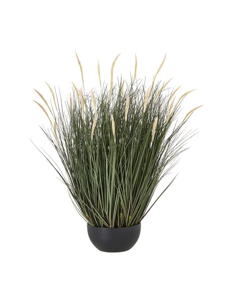 Hill Interiors Large Fountain Grass Plant In Pot 23722 - pic 113658 | FastDaddyshop
