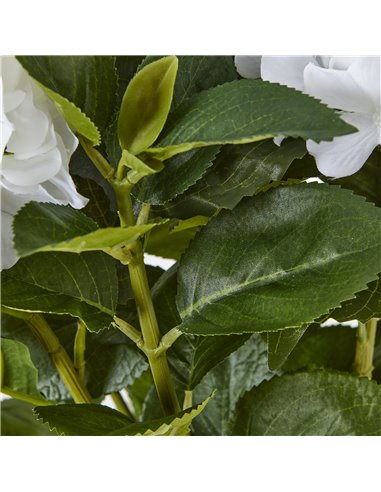 Hill Interiors Medium White Hydrangea Plant In Pot 23749