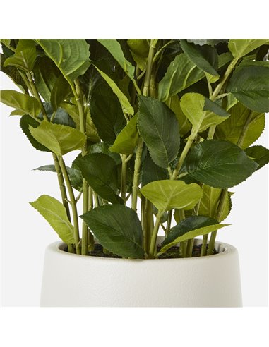 Hill Interiors Large White Hydrangea Plant In Pot 23750