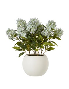 Hill Interiors Medium Green Hydrangea Plant In Pot 23751