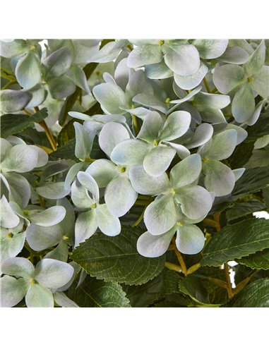 Hill Interiors Medium Green Hydrangea Plant In Pot 23751