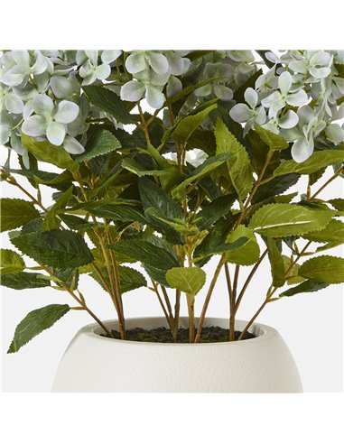 Hill Interiors Medium Green Hydrangea Plant In Pot 23751