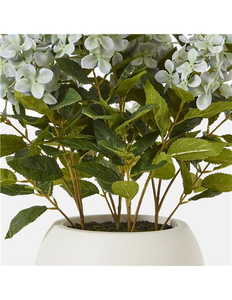 Hill Interiors Medium Green Hydrangea Plant In Pot 23751 - pic 113673 | FastDaddyshop