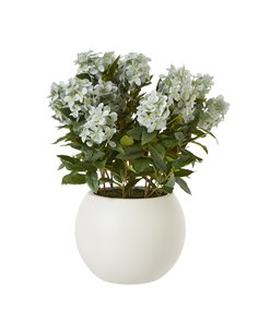 Hill Interiors Large Green Hydrangea Plant In Pot 23752