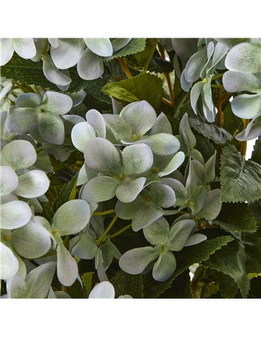 Hill Interiors Large Green Hydrangea Plant In Pot 23752