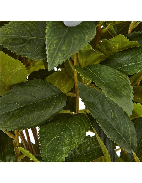 Hill Interiors Large Green Hydrangea Plant In Pot 23752 - pic 113676 | FastDaddyshop