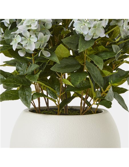 Hill Interiors Large Green Hydrangea Plant In Pot 23752 - pic 113677 | FastDaddyshop