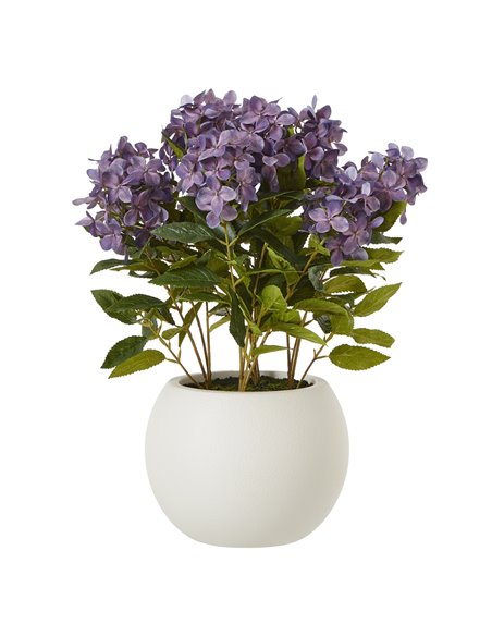 Hill Interiors Medium Purple Hydrangea Plant In Pot 23753 - pic 113678 | FastDaddyshop