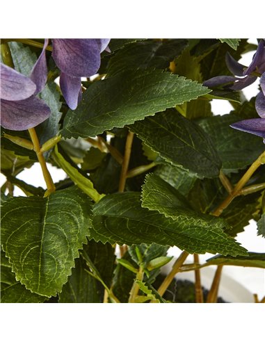 Hill Interiors Medium Purple Hydrangea Plant In Pot 23753