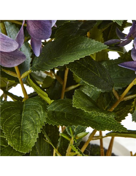 Hill Interiors Medium Purple Hydrangea Plant In Pot 23753 - pic 113680 | FastDaddyshop