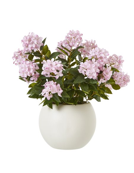 Hill Interiors Large Pink Hydrangea Plant In Pot 23754 - pic 113682 | FastDaddyshop