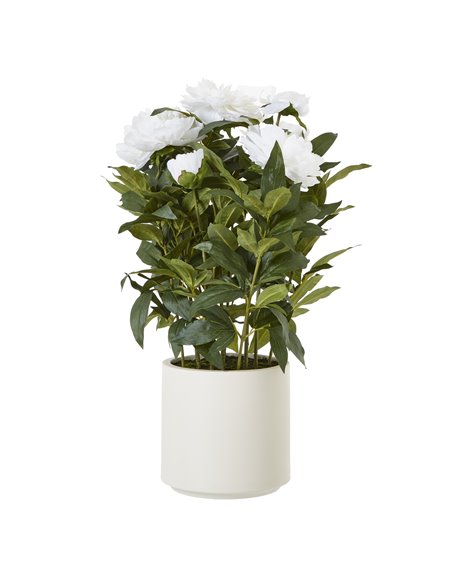 Hill Interiors Large White Peony Plant In Pot 23755 - pic 113687 | FastDaddyshop