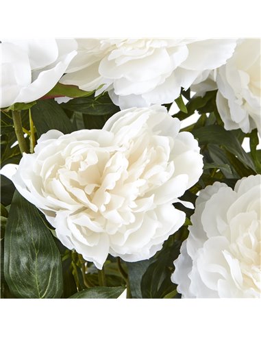 Hill Interiors Large White Peony Plant In Pot 23755