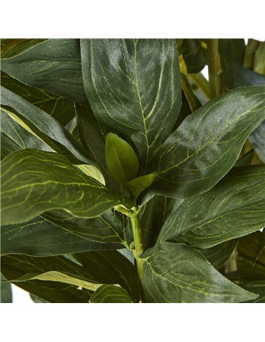 Hill Interiors Large White Peony Plant In Pot 23755