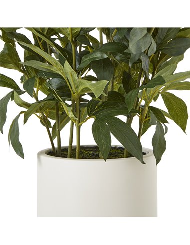 Hill Interiors Large White Peony Plant In Pot 23755