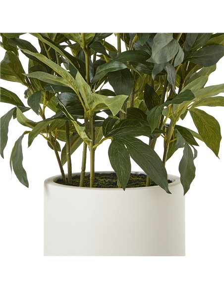 Hill Interiors Large White Peony Plant In Pot 23755 - pic 113690 | FastDaddyshop