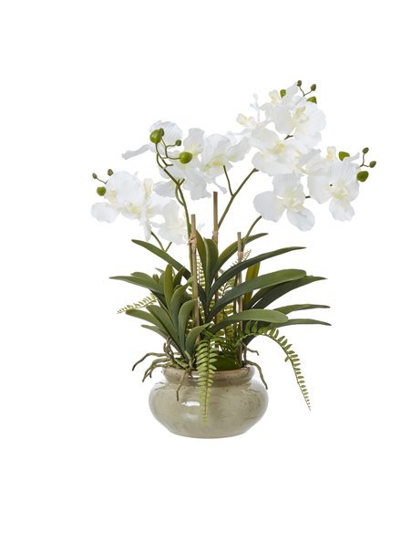 Hill Interiors White Vanda Orchid Plant In Ceramic Pot 23757 - pic 113691 | FastDaddyshop