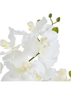 Hill Interiors White Vanda Orchid Plant In Ceramic Pot 23757 2