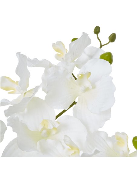 Hill Interiors White Vanda Orchid Plant In Ceramic Pot 23757 - pic 113692 | FastDaddyshop