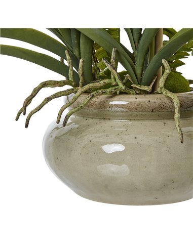 Hill Interiors White Vanda Orchid Plant In Ceramic Pot 23757