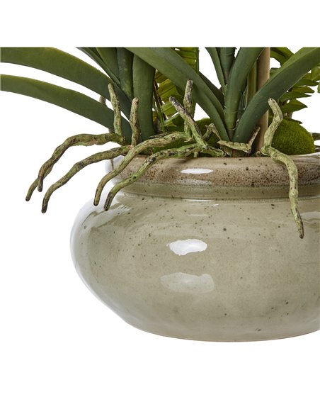 Hill Interiors White Vanda Orchid Plant In Ceramic Pot 23757 - pic 113693 | FastDaddyshop