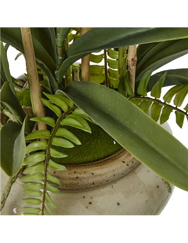Hill Interiors White Vanda Orchid Plant In Ceramic Pot 23757