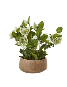 Hill Interiors Green Hellebore Plant In Taupe Pot 23762