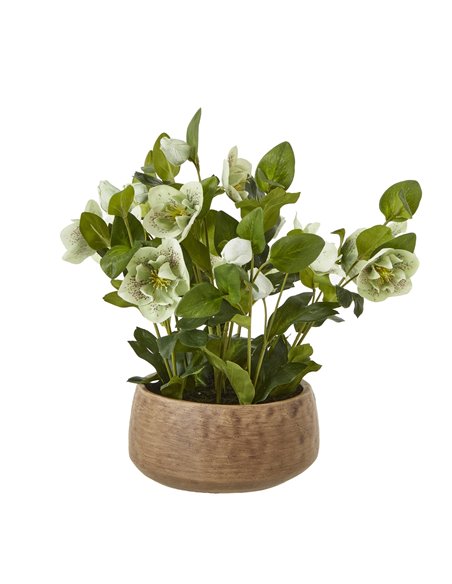 Hill Interiors Green Hellebore Plant In Taupe Pot 23762 - pic 113695 | FastDaddyshop