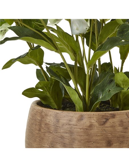 Hill Interiors Green Hellebore Plant In Taupe Pot 23762 - pic 113698 | FastDaddyshop