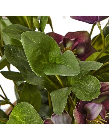 Hill Interiors Deep Plum Hellebore Plant In Taupe Pot 23763