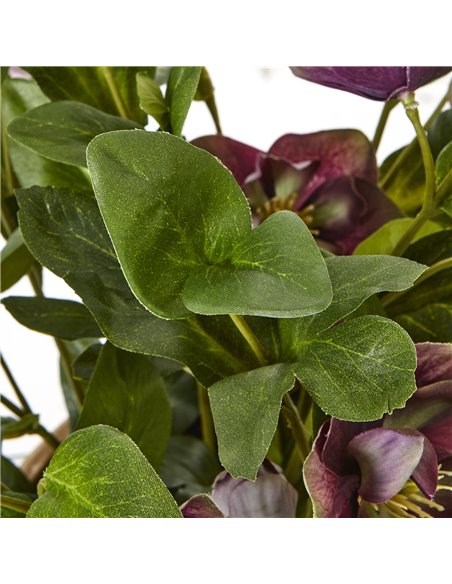 Hill Interiors Deep Plum Hellebore Plant In Taupe Pot 23763 - pic 113702 | FastDaddyshop